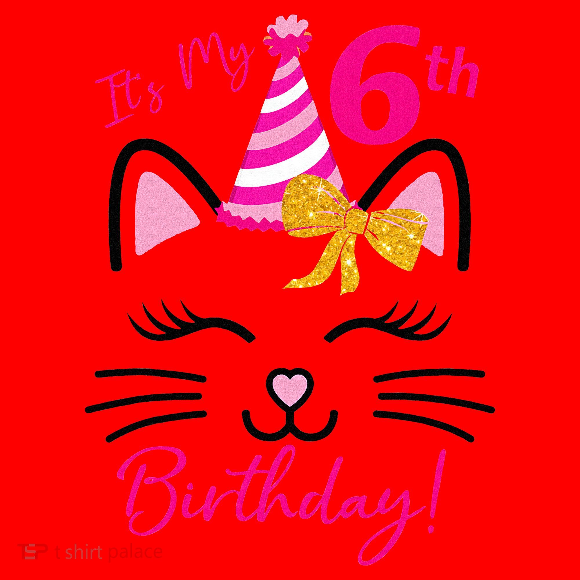 Its My 6th Birthday Funny Cat Birthday 6 Year Old Santa Hat
