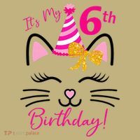 Its My 6th Birthday Funny Cat Birthday 6 Year Old Sweatshirt thumb 2