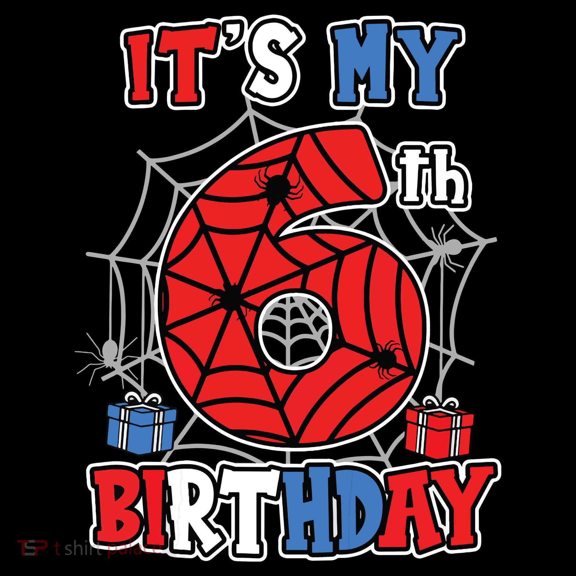 Its My 6th Birthday Spider Theme Party 6 Year Old Boy Women's Hoodie