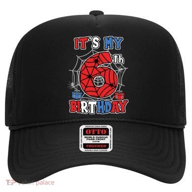 Its My 6th Birthday Spider Theme Party 6 Year Old Boy Hat