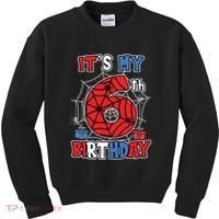 Its My 6th Birthday Spider Theme Party 6 Year Old Boy Kids Sweatshirt thumb 0