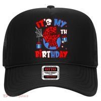 It'S My 6th Birthday Spider Theme Party Boy Birthday Present Hat thumb 0