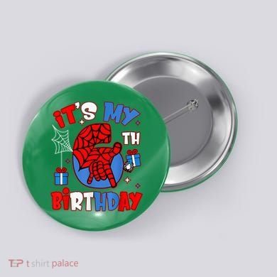 It'S My 6th Birthday Spider Theme Party Boy Birthday Present Button