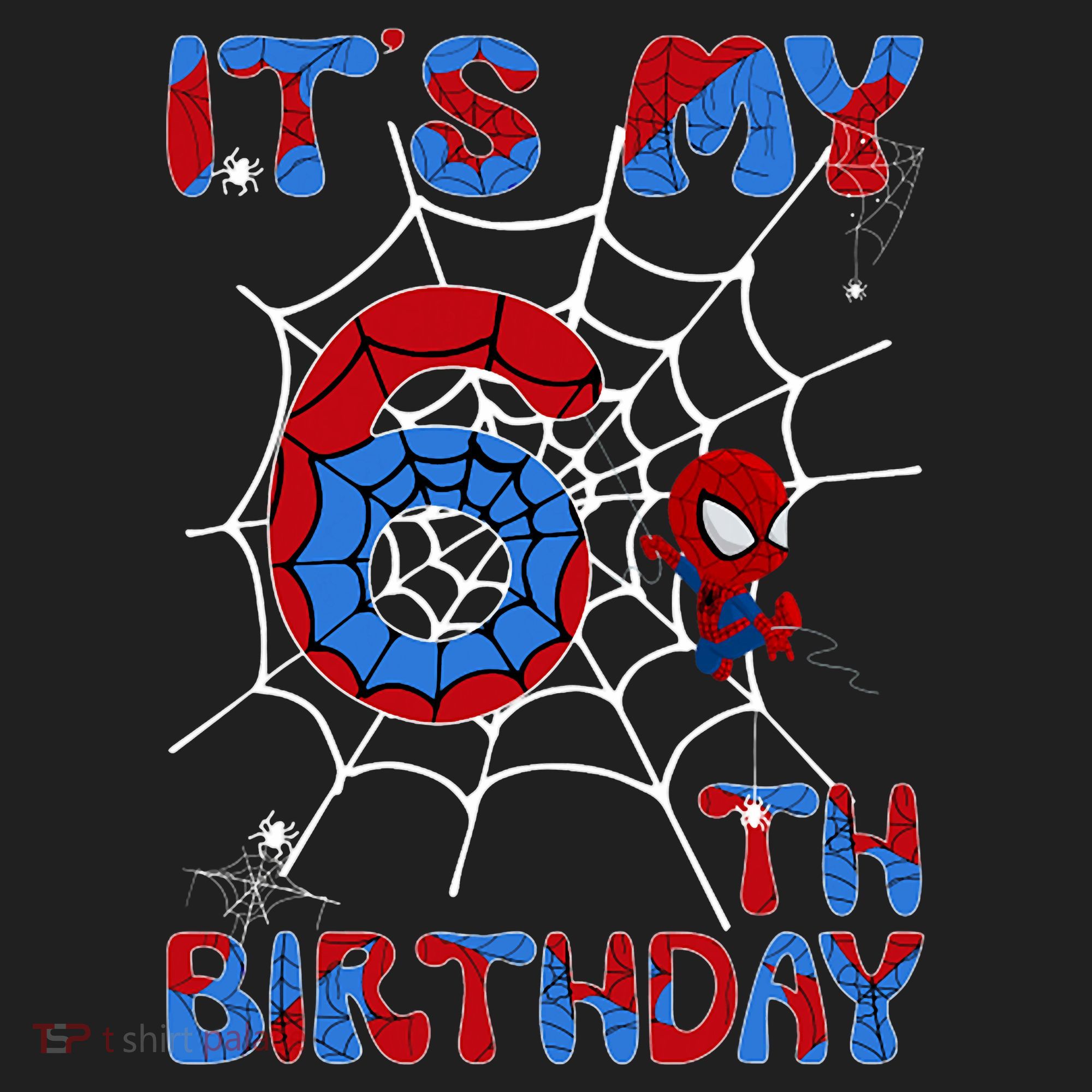 Its My 6th Birthday Spider Web 6 Year Old Women's Sweatshirt