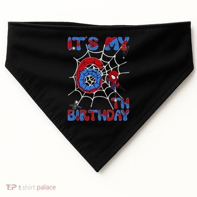 Its My 6th Birthday Spider Web 6 Year Old USA-Made Doggie Bandana