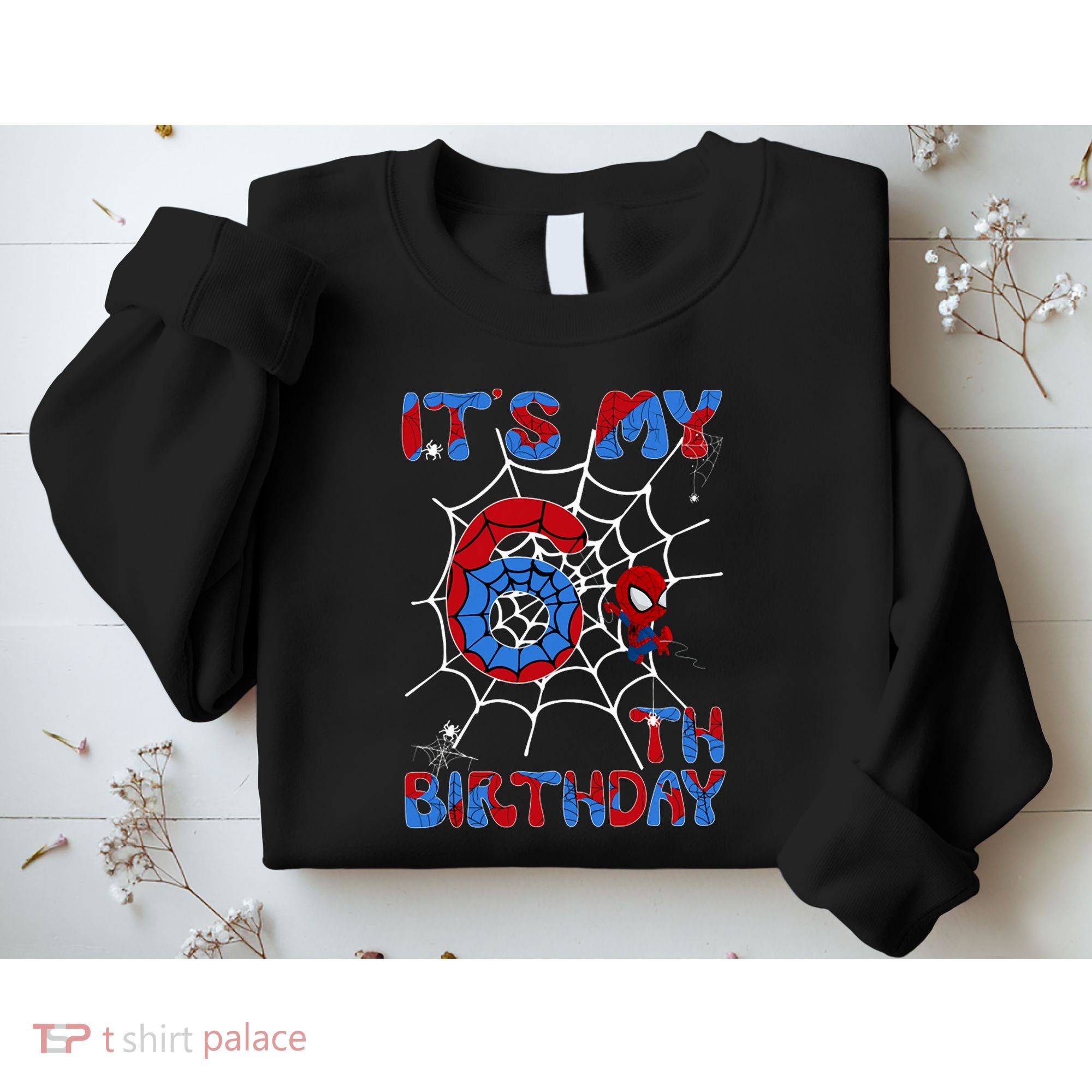 Its My 6th Birthday Spider Web 6 Year Old Sweatshirt