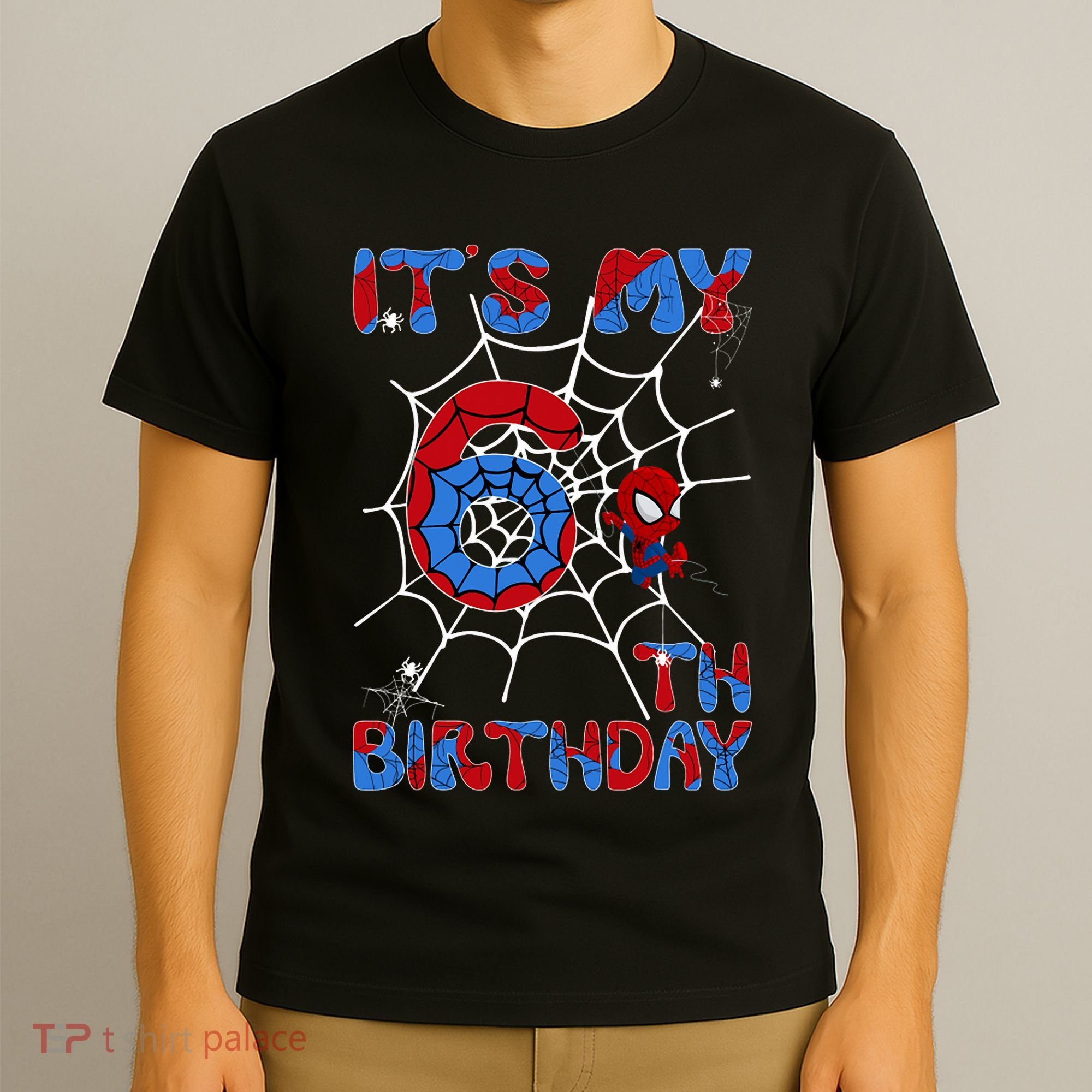 Its My 6th Birthday Spider Web 6 Year Old T-Shirt