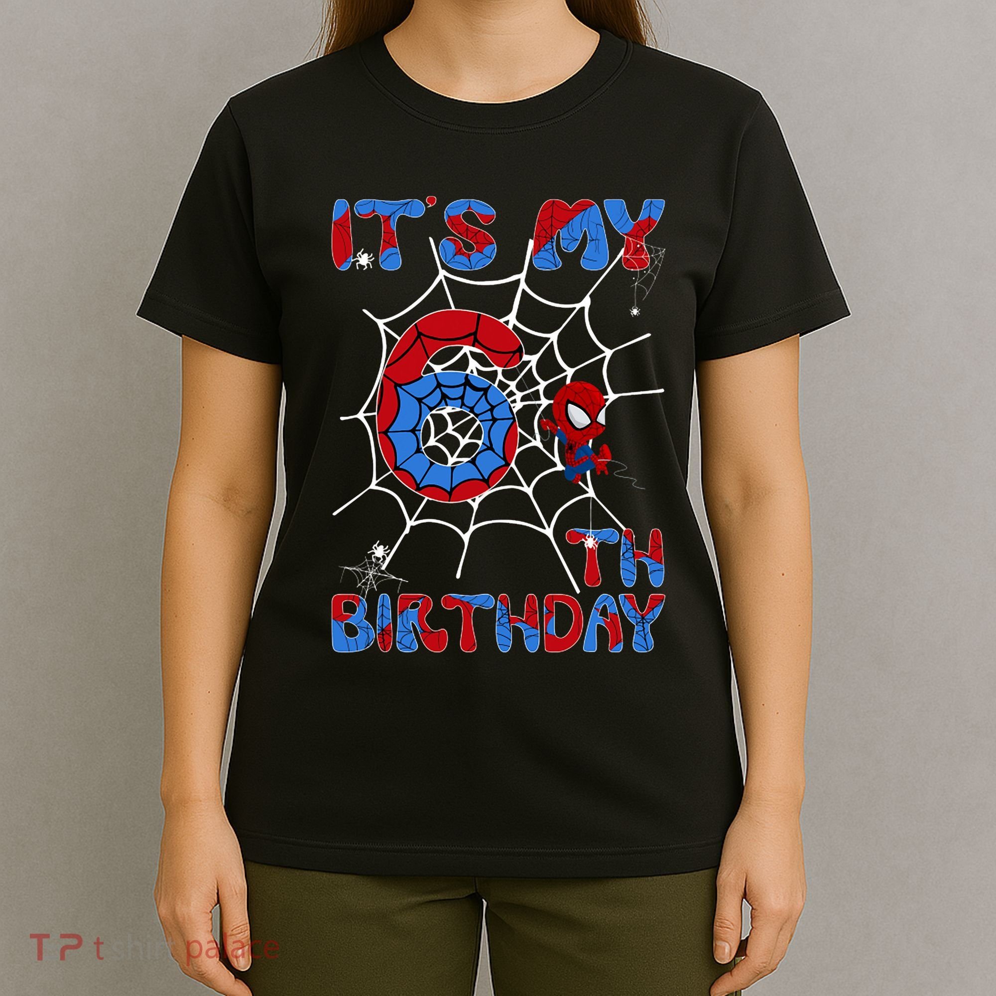 Its My 6th Birthday Spider Web 6 Year Old T-Shirt