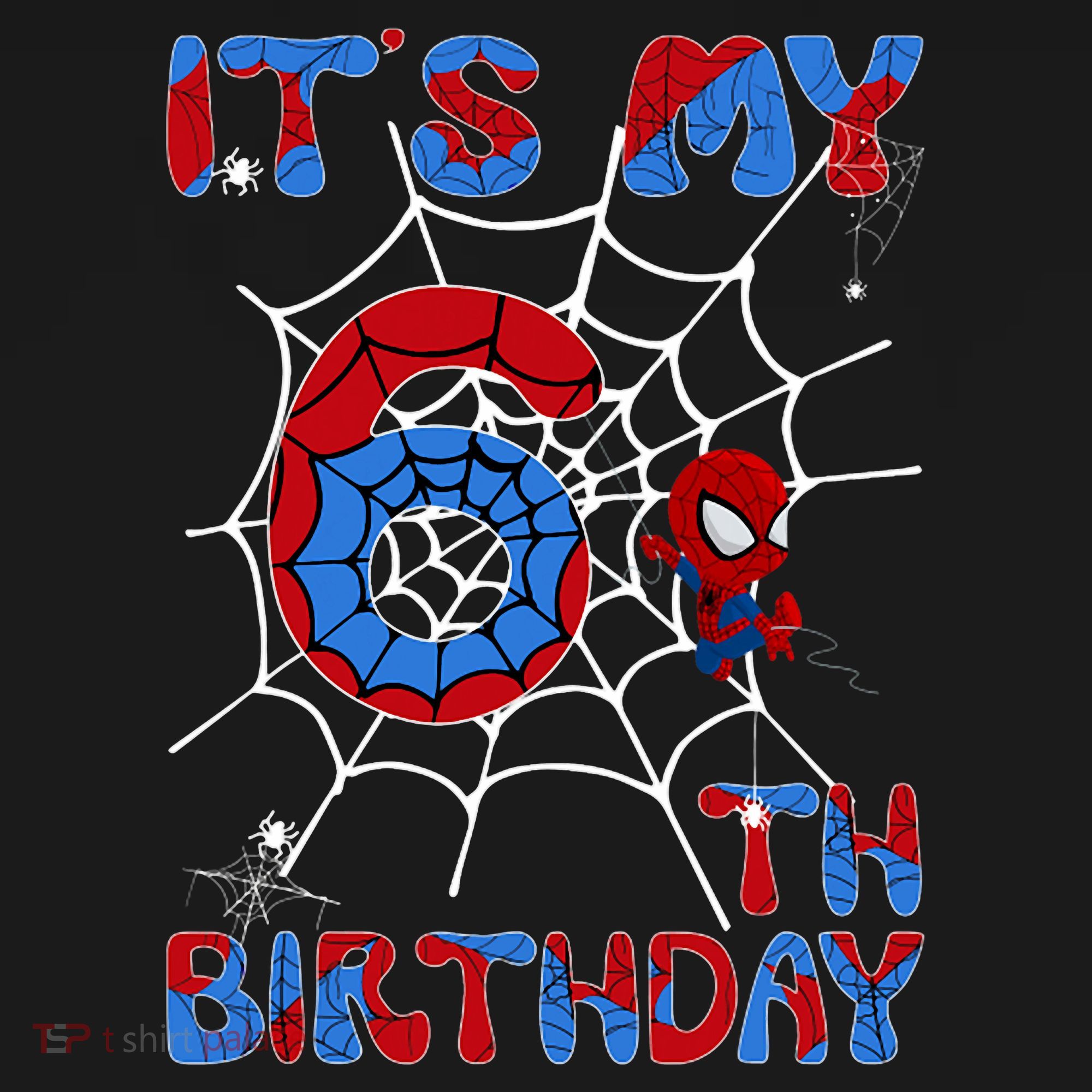 Its My 6th Birthday Spider Web 6 Year Old Pajama Set