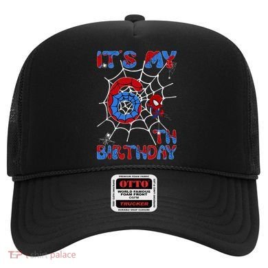 Its My 6th Birthday Spider Web 6 Year Old Hat