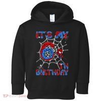Its My 6th Birthday Spider Web 6 Year Old Toddler Hoodie thumb 0
