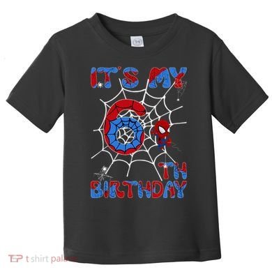 Its My 6th Birthday Spider Web 6 Year Old Toddler T-Shirt