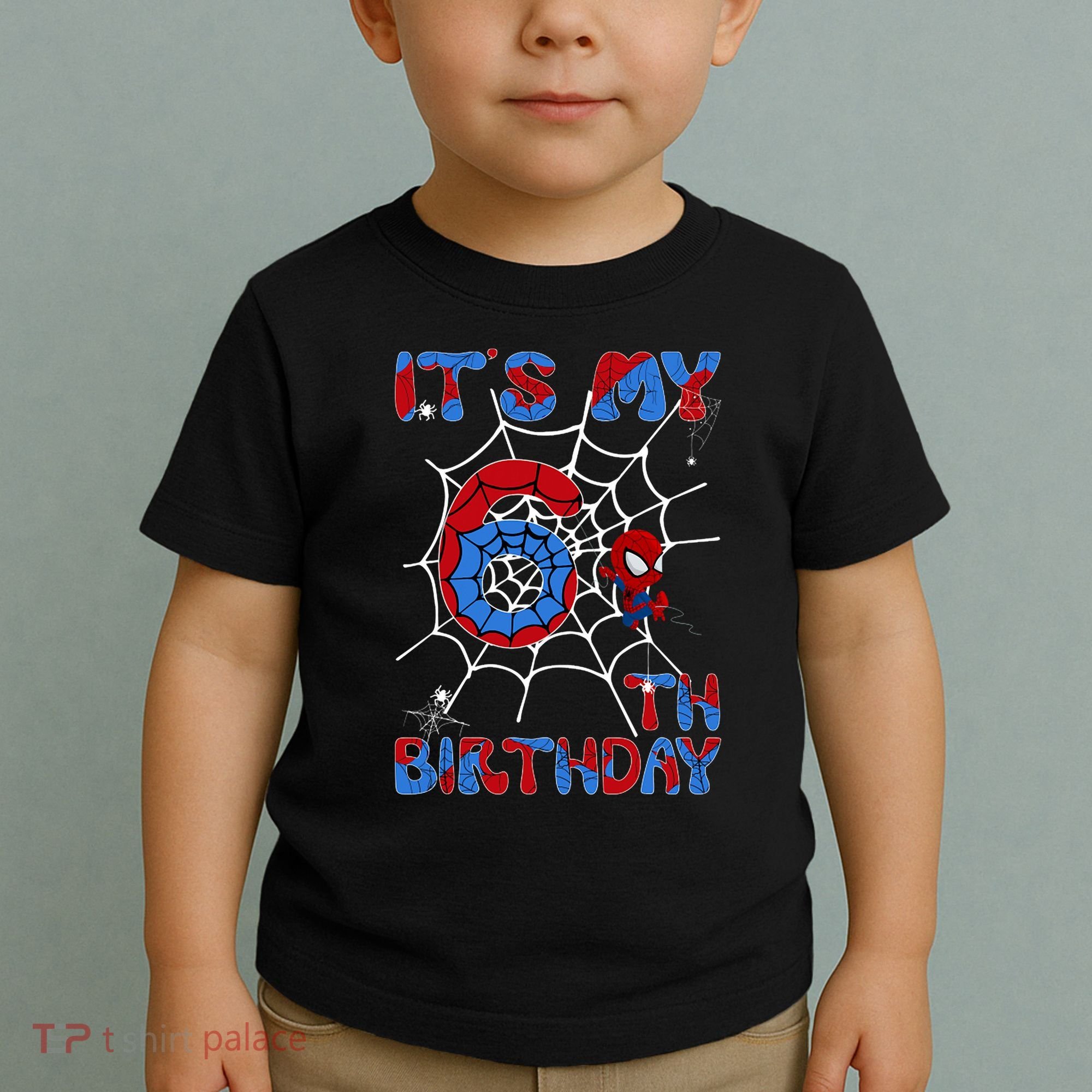 Its My 6th Birthday Spider Web 6 Year Old Toddler T-Shirt