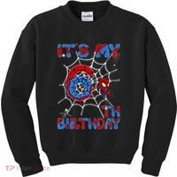Its My 6th Birthday Spider Web 6 Year Old Kids Sweatshirt thumb 0