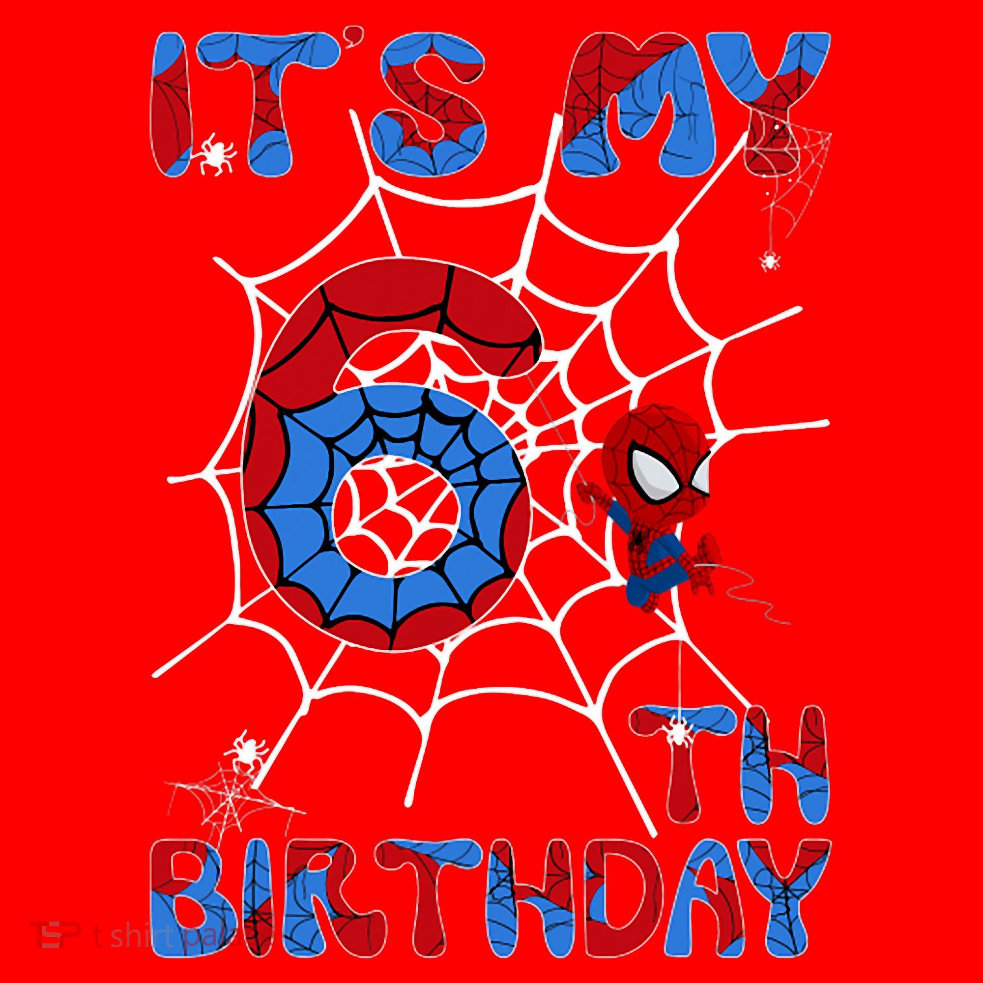 Its My 6th Birthday Spider Web 6 Year Old Santa Hat
