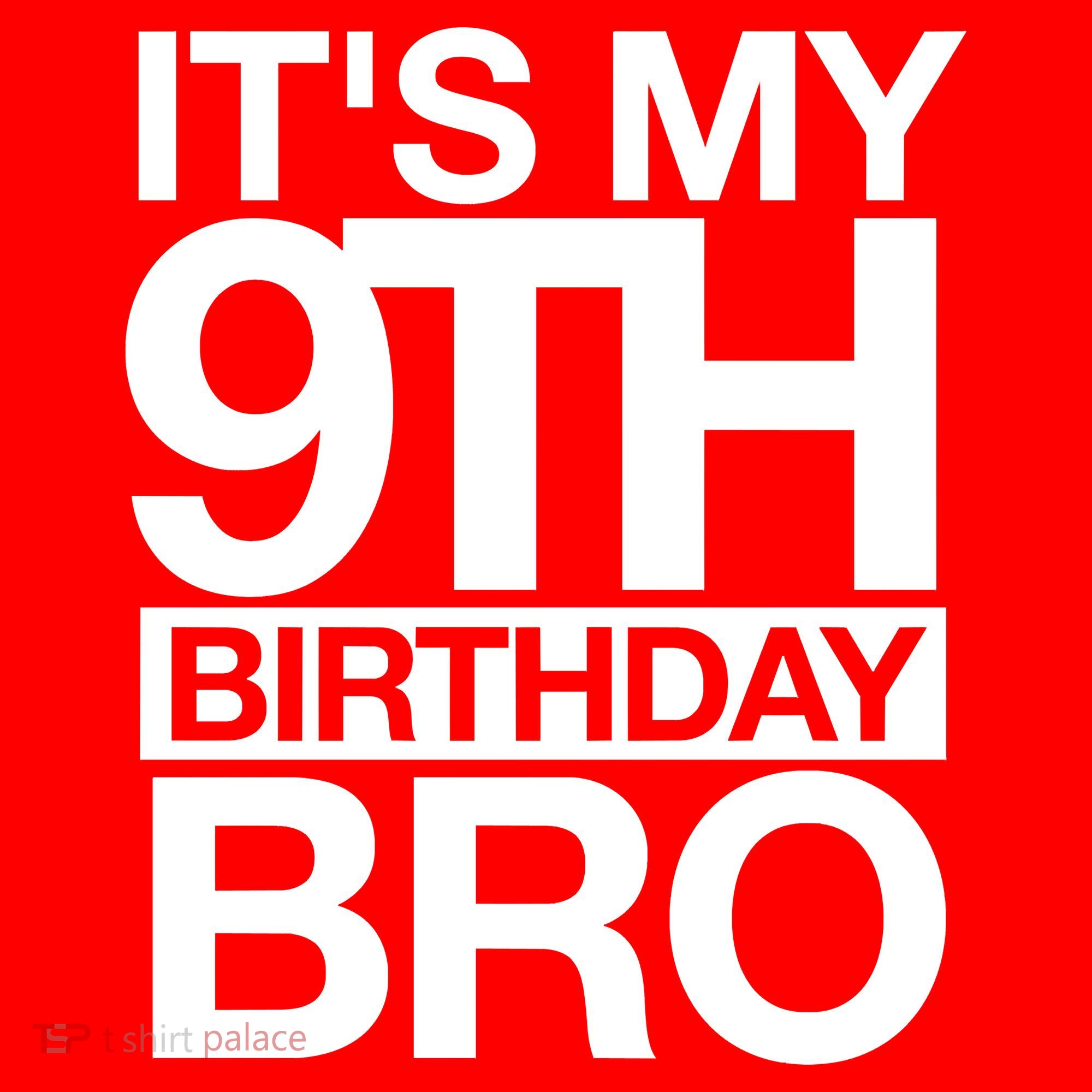 Its My 9th Birthday Bro 9th Birthday Santa Hat