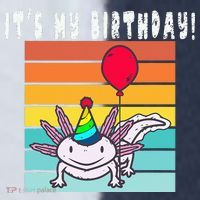 Its My Birthday Axolotl Party Hat & Balloon Sport-Tek Competitor United Soccer Jersey thumb 4