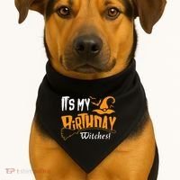 Its My Birthday Witch Halloween October Birthday USA-Made Doggie Bandana thumb 1