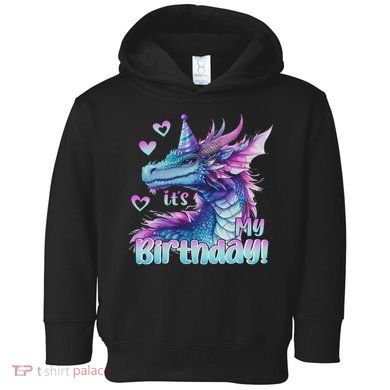 It's My Birthday Dragon Party Cute Dragons Lover Theme Toddler Hoodie