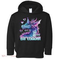 It's My Birthday Dragon Party Cute Dragons Lover Theme Toddler Hoodie thumb 0
