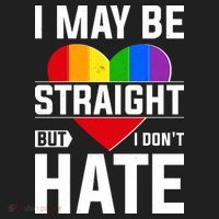 I May Be Straight But I Don't Hate LGBT Pride Ally Hat thumb 2