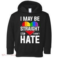 I May Be Straight But I Don't Hate LGBT Pride Ally Toddler Hoodie thumb 0