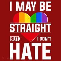 I May Be Straight But I Don't Hate LGBT Pride Ally Long Sleeve Shirt thumb 2