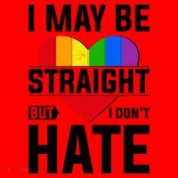 I May Be Straight But I Don't Hate LGBT Pride Ally Santa Hat thumb 1