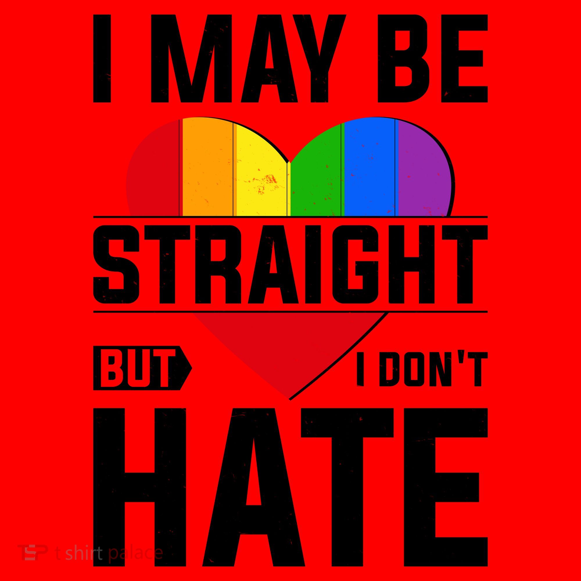 I May Be Straight But I Don't Hate LGBT Pride Ally Santa Hat