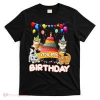 ItS My Birthday Cat And Kitten Party Day T-Shirt thumb 0