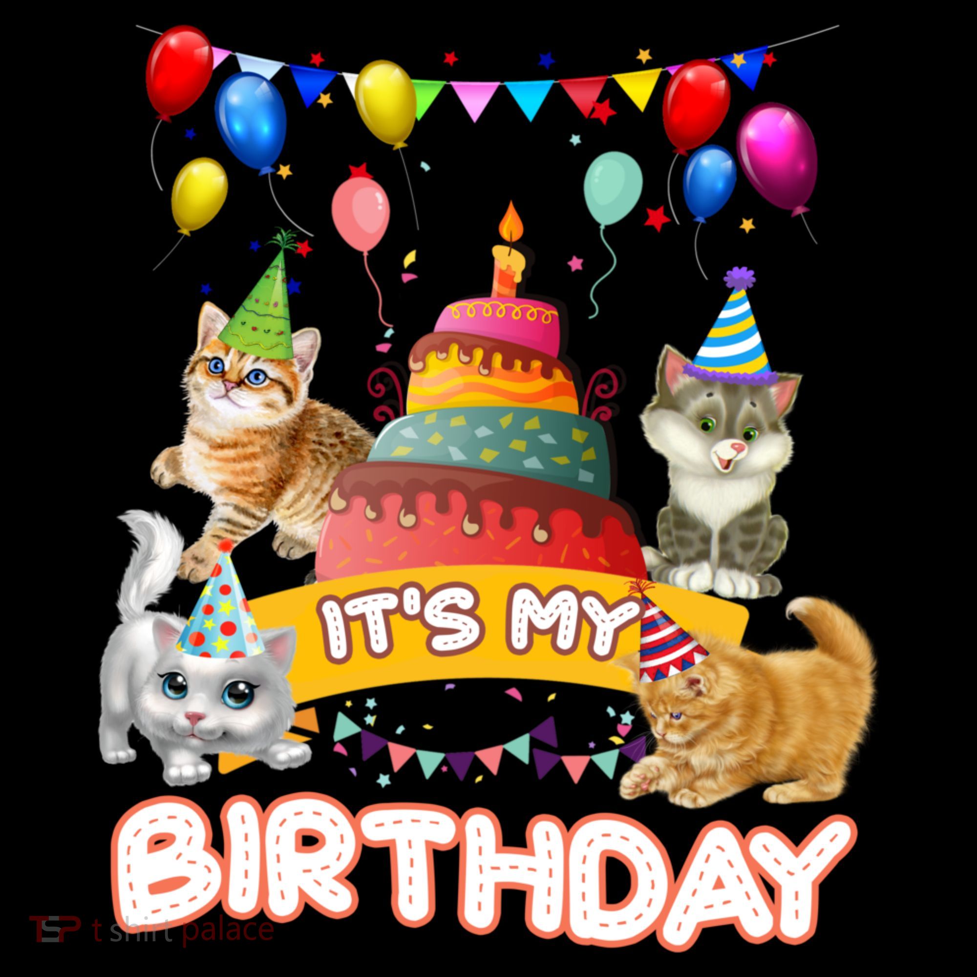 ItS My Birthday Cat And Kitten Party Day Women's Hoodie