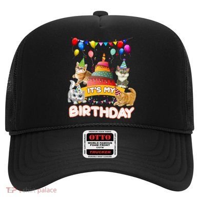 ItS My Birthday Cat And Kitten Party Day Hat