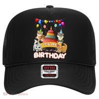 ItS My Birthday Cat And Kitten Party Day Hat thumb 0