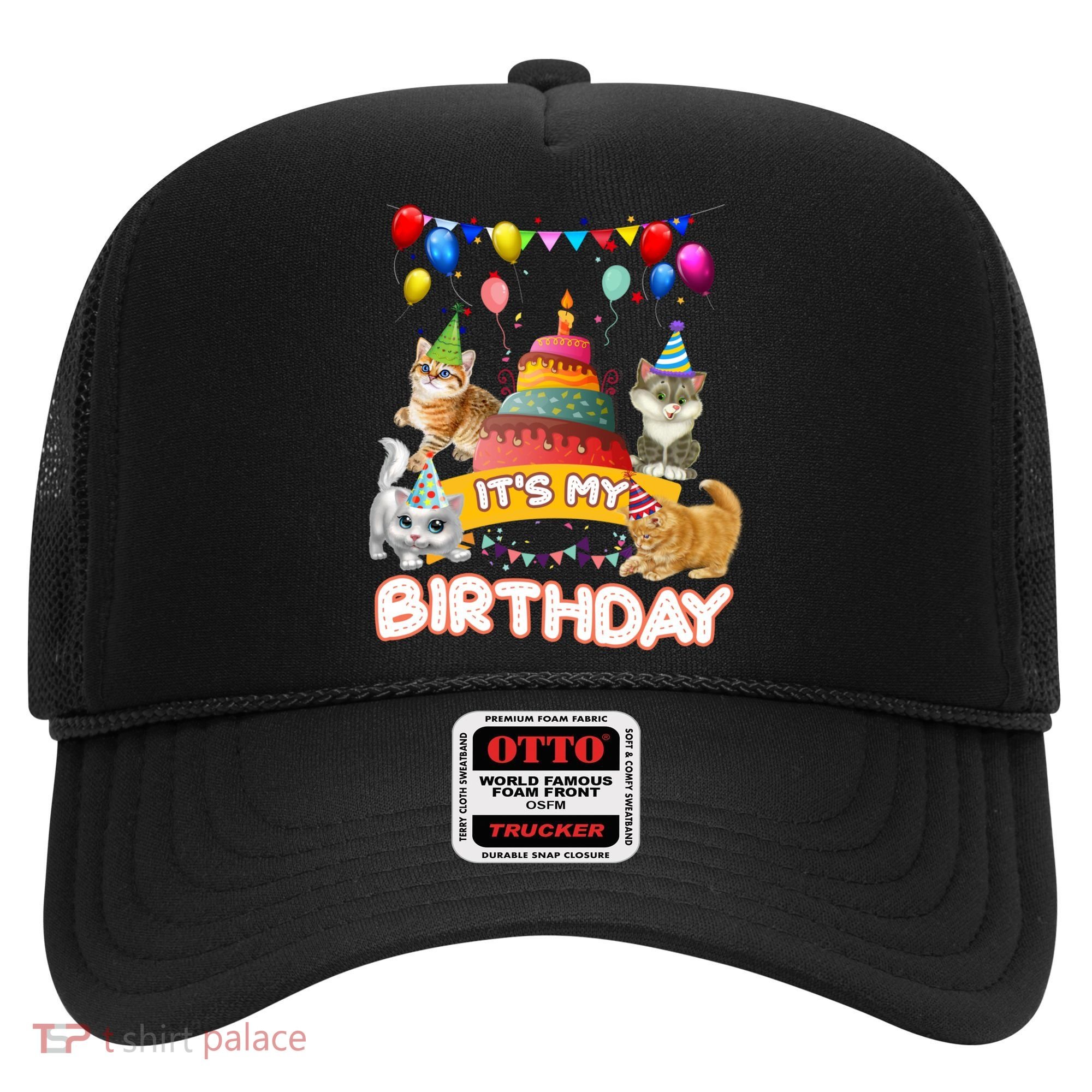ItS My Birthday Cat And Kitten Party Day Hat