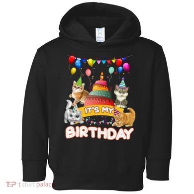 ItS My Birthday Cat And Kitten Party Day Toddler Hoodie