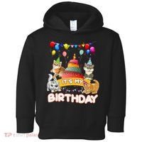 ItS My Birthday Cat And Kitten Party Day Toddler Hoodie thumb 0