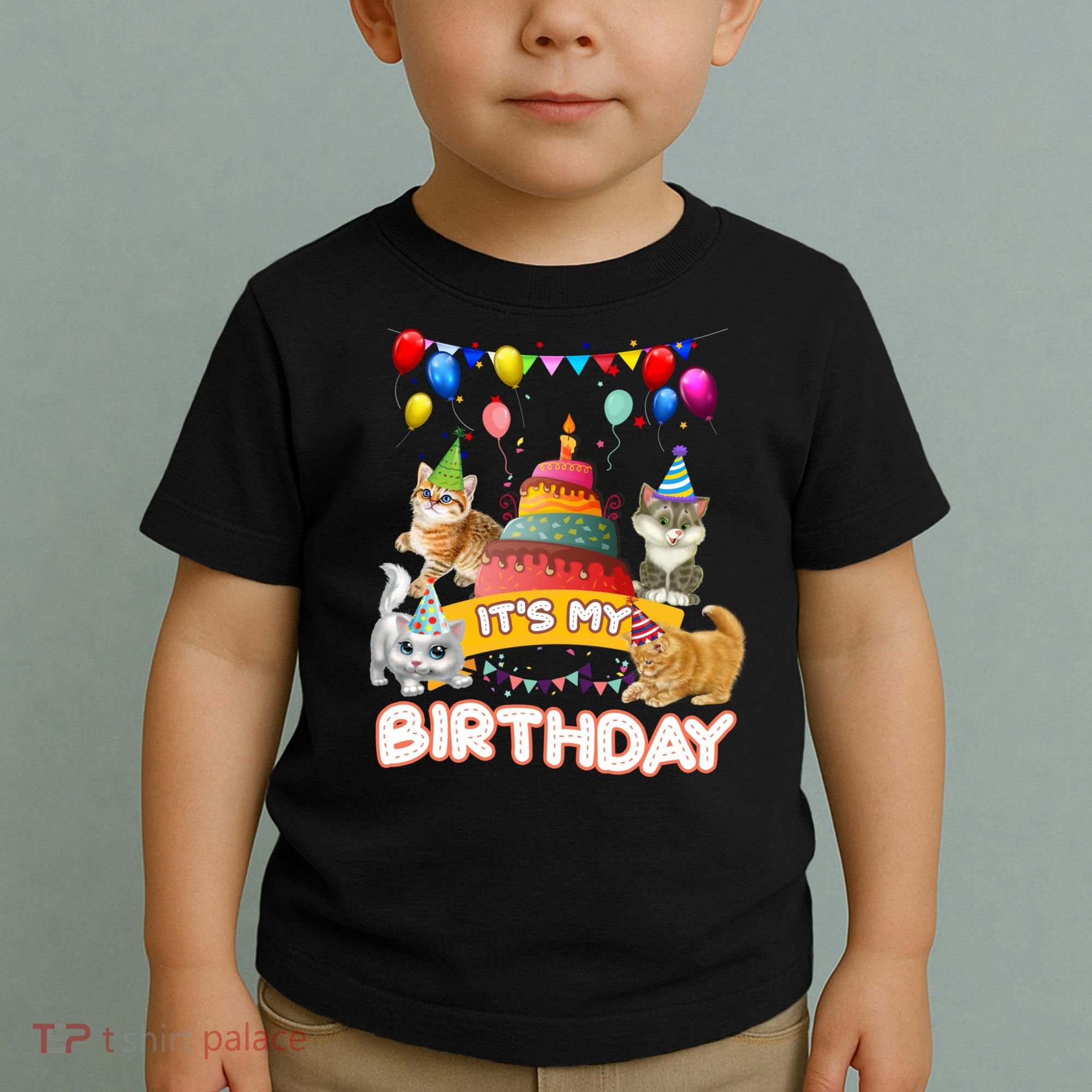 ItS My Birthday Cat And Kitten Party Day Toddler T-Shirt