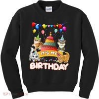 ItS My Birthday Cat And Kitten Party Day Kids Sweatshirt thumb 0