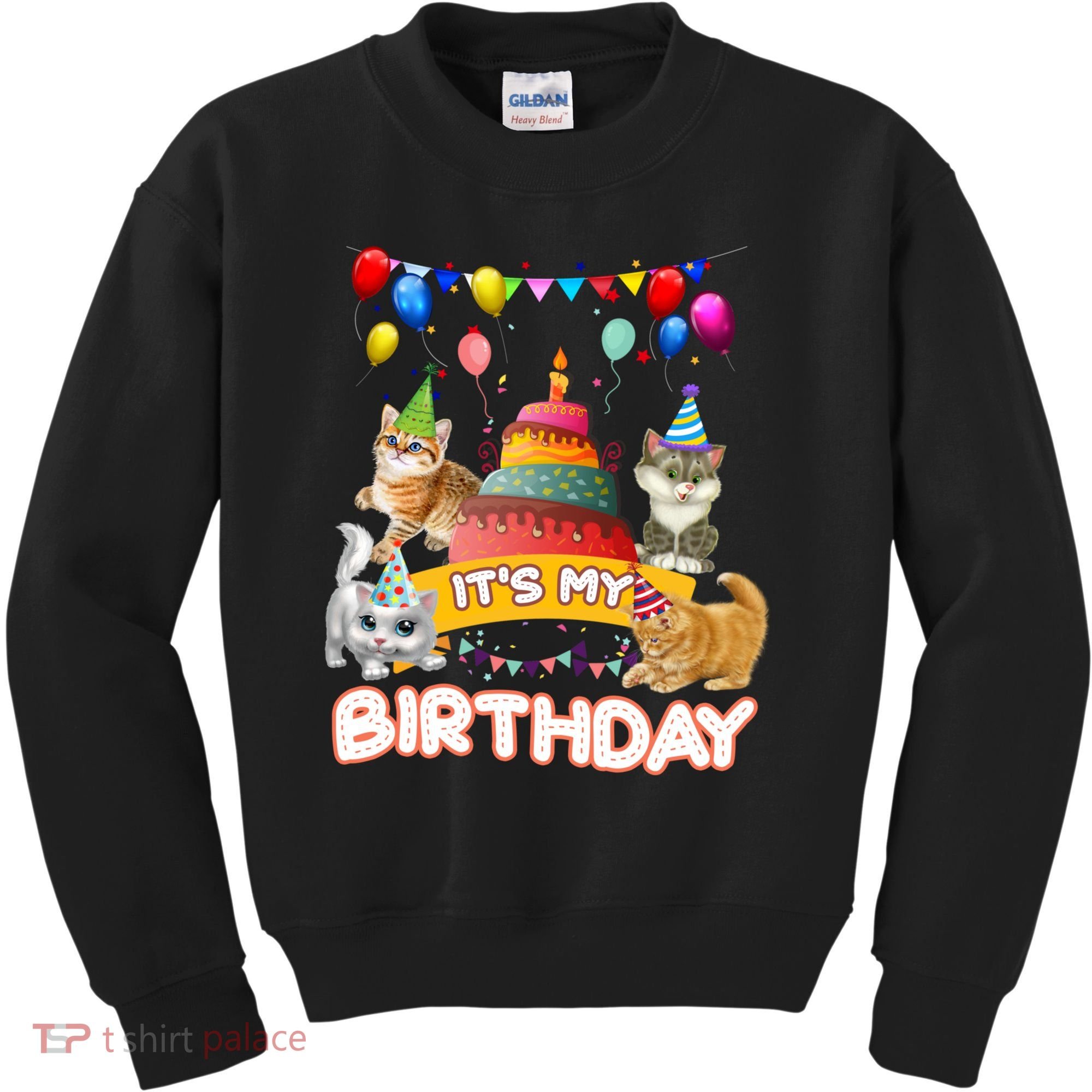 ItS My Birthday Cat And Kitten Party Day Kids Sweatshirt