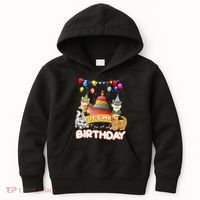 ItS My Birthday Cat And Kitten Party Day Kids Hoodie thumb 0