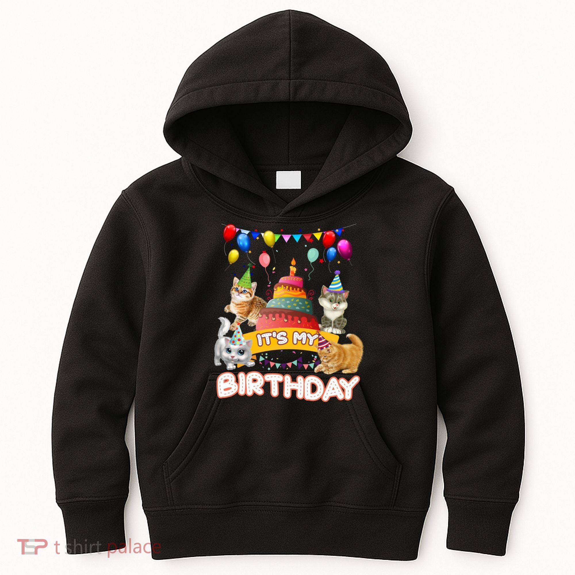 ItS My Birthday Cat And Kitten Party Day Kids Hoodie