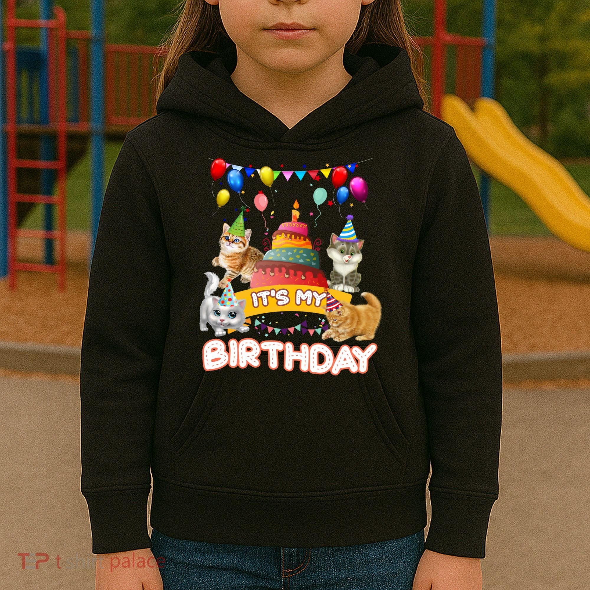 ItS My Birthday Cat And Kitten Party Day Kids Hoodie