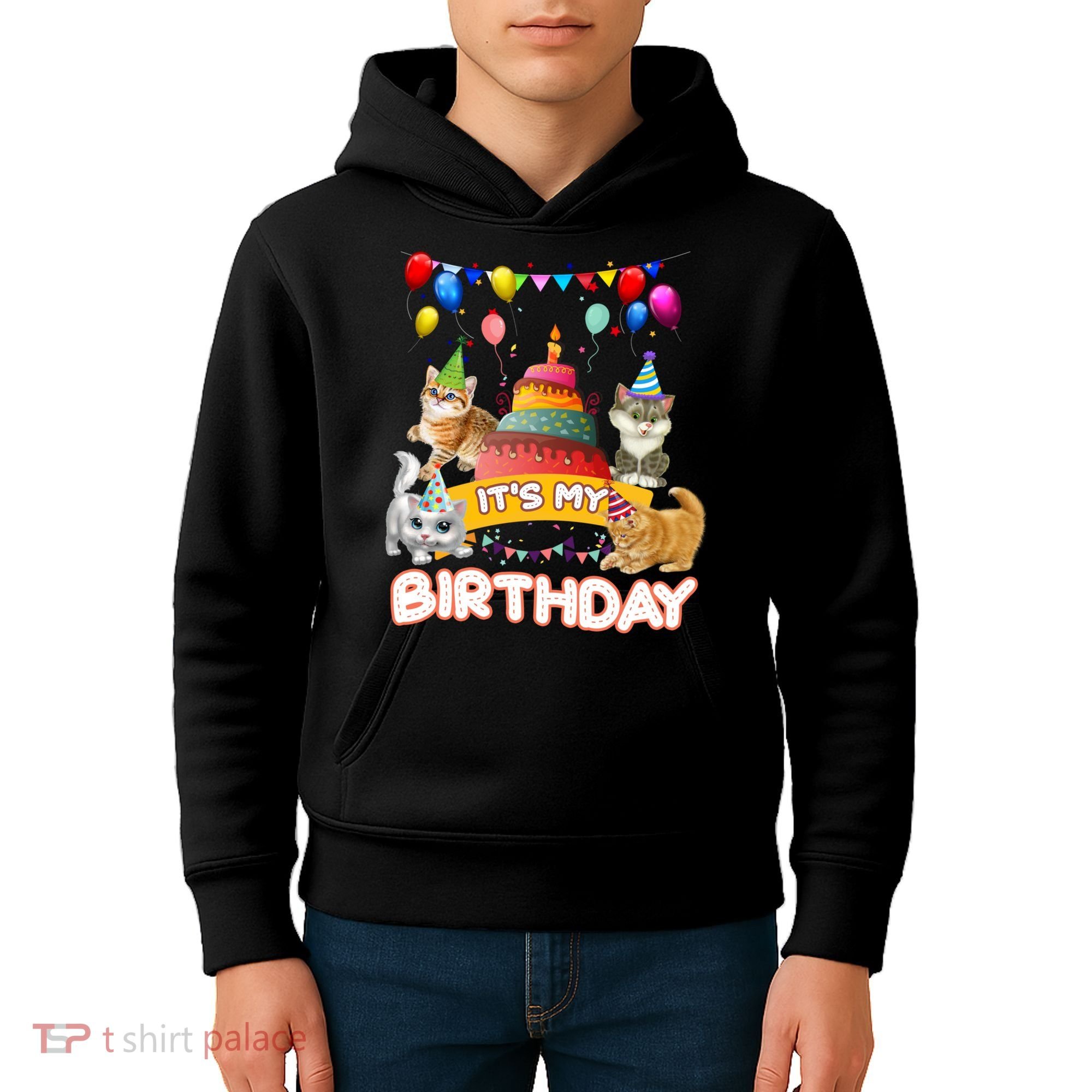 ItS My Birthday Cat And Kitten Party Day Kids Hoodie
