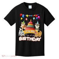 ItS My Birthday Cat And Kitten Party Day Kids T-Shirt thumb 0
