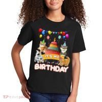 ItS My Birthday Cat And Kitten Party Day Kids T-Shirt thumb 2