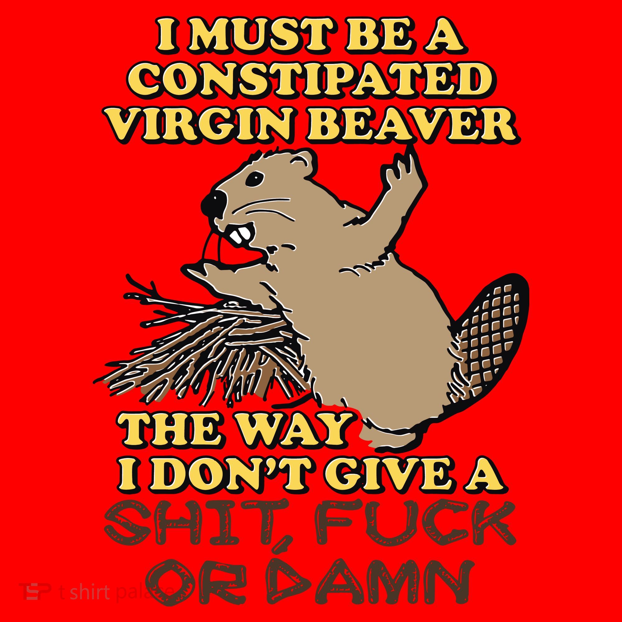 I Must Be Constipated Virgin Beaver The Way I Dont Give A Shit Fuck Or Damn Santa Hat