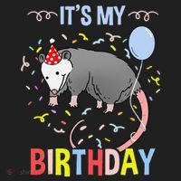 Its My Birthday Opossum Beanie thumb 2
