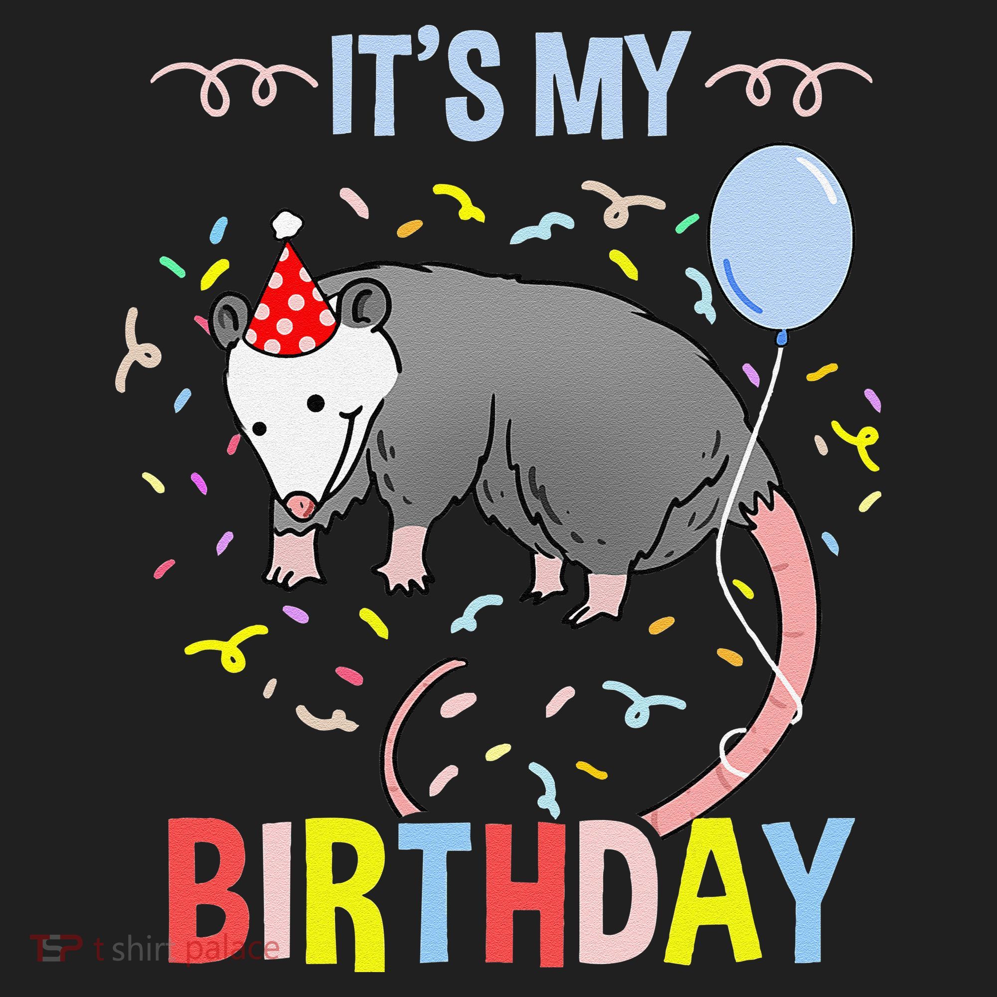 Its My Birthday Opossum Hat