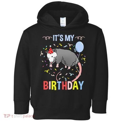 Its My Birthday Opossum Toddler Hoodie