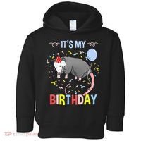 Its My Birthday Opossum Toddler Hoodie thumb 0